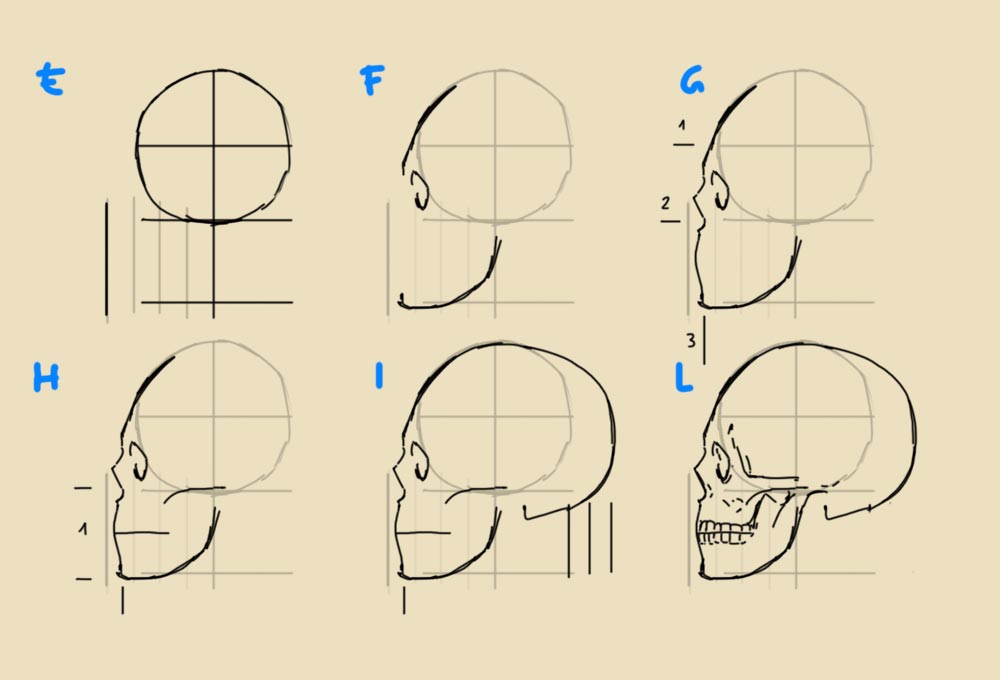 Come disegnare un volto a matita partendo da zero - Novel Academy