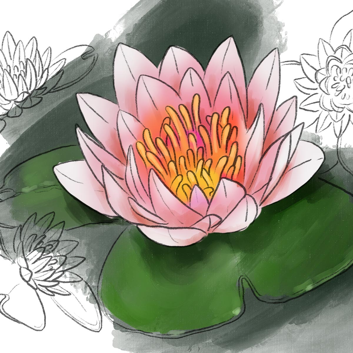 Fiore di loto disegno